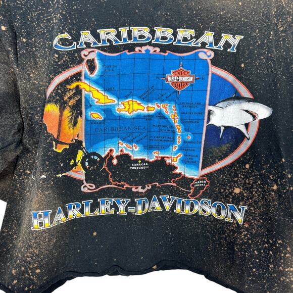 Reworked Harley Davidson Cropped Graphic Tee Large Oversized Bleached Boho Edgy - Picture 2 of 5
